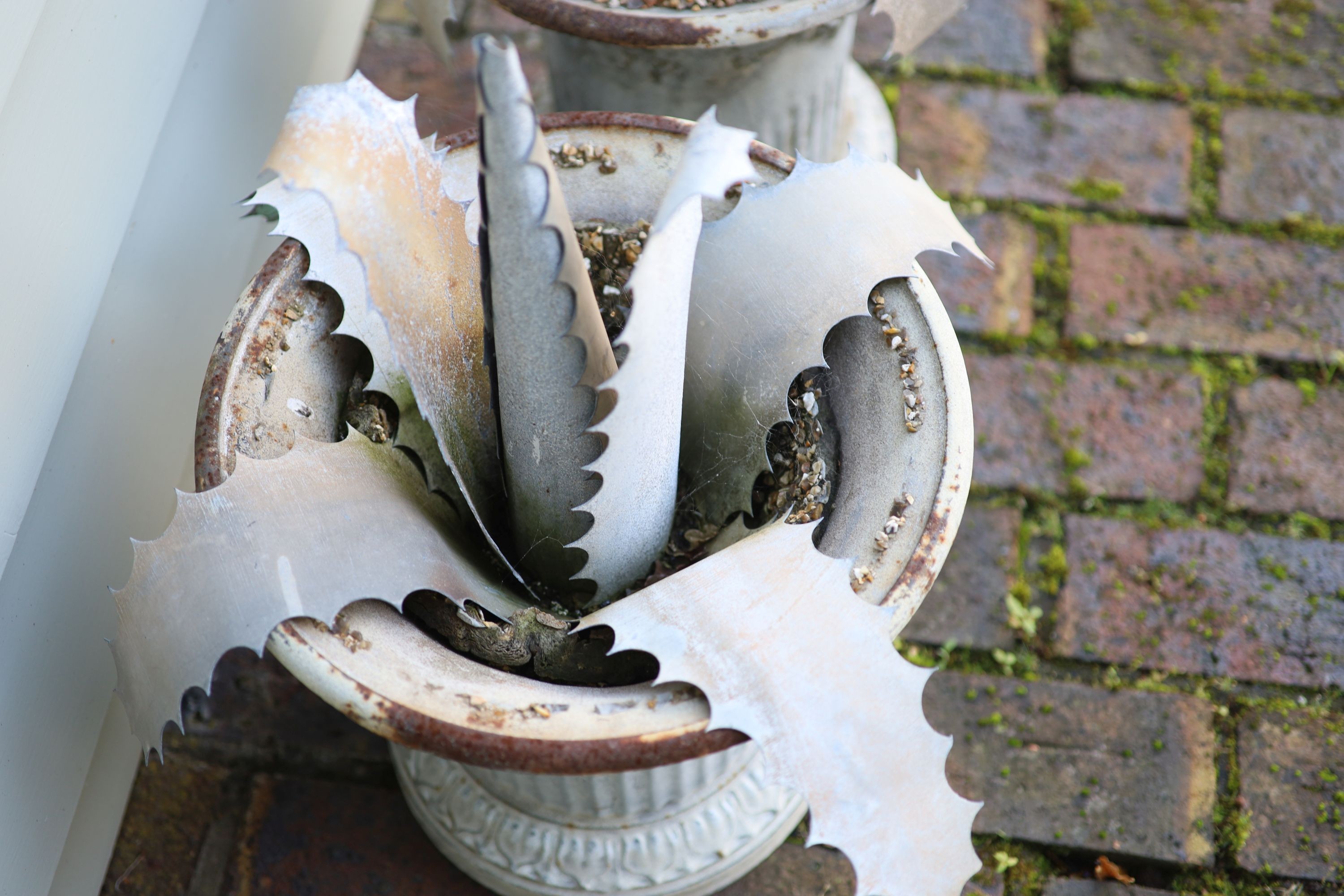A pair of French galvanised tin aloe vera planters, height 64cm